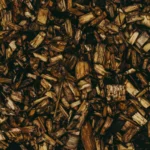 bio-energy